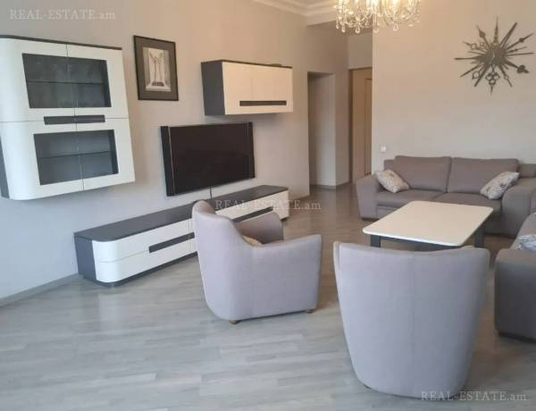 3-senyakanoc-bnakaran-vardzakalutyun-Yerevan-Arabkir