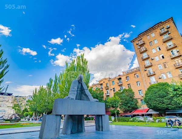 3-senyakanoc-bnakaran-vardzakalutyun-Yerevan-Center